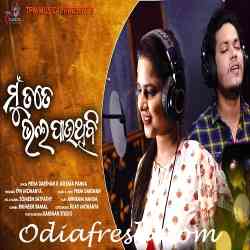 Mu Tate Bhala Pauthibi